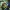 poison ivy and sonic 3d model