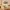 WallArt - Cartes