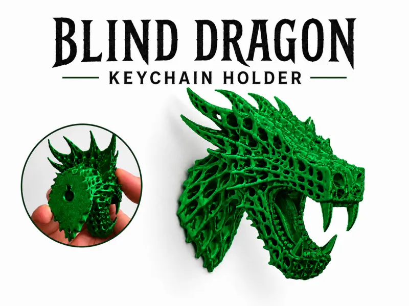 Organiseur de porte-clés dragon aveugle