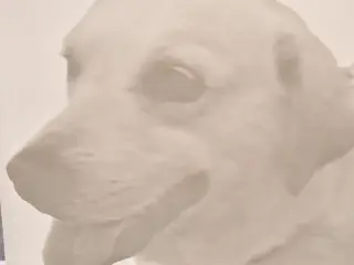 Litho Dog, small, without frame