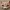 Japanese Cat Mask with Carved Floral Patterns