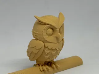 猫头鹰