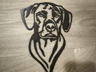 Rhodesian Ridgeback