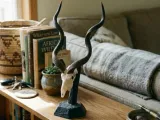 Mini Kudu Skull-0