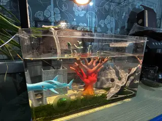 鱼缸过滤组合