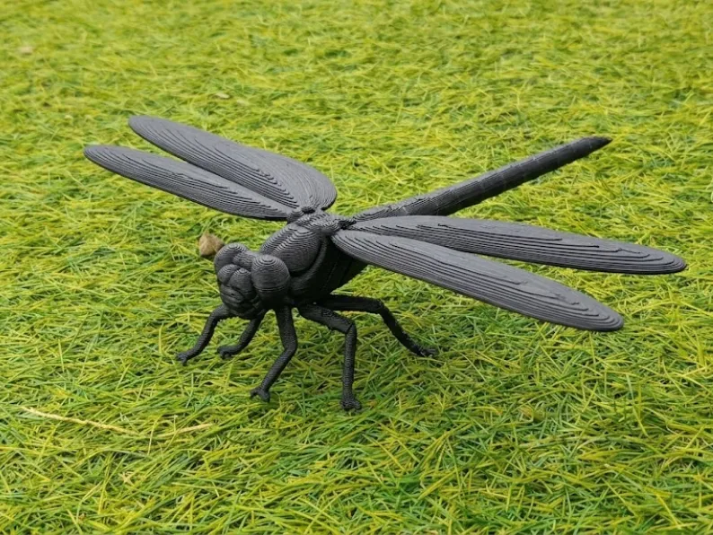 Dragonfly - Realistic Detailed Insect