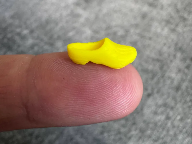 Piccoli zoccoli di legno olandesi da nascondere