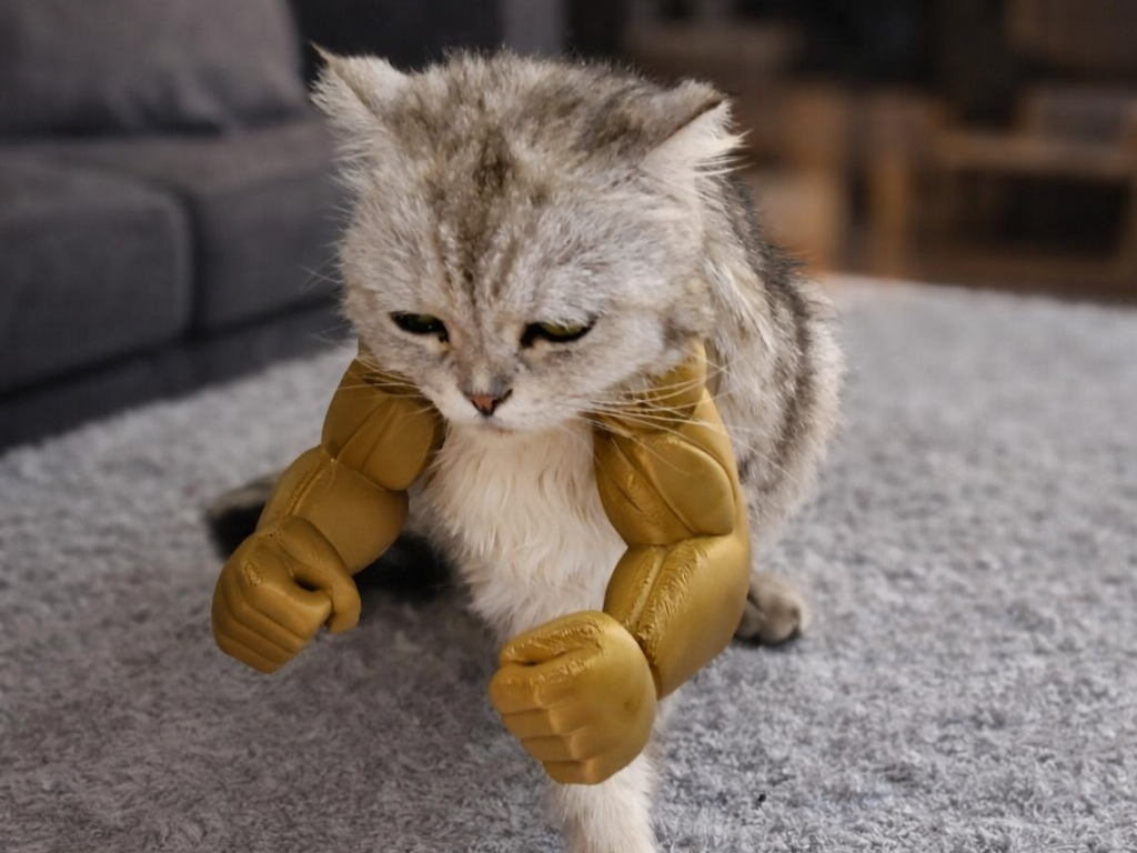 3D Printer Files | 3MF File | Cat Arms