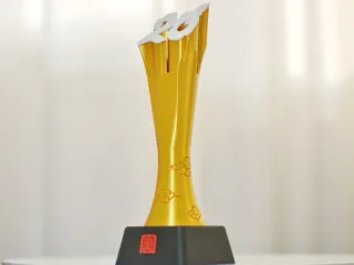 20th Anniversary Trophy