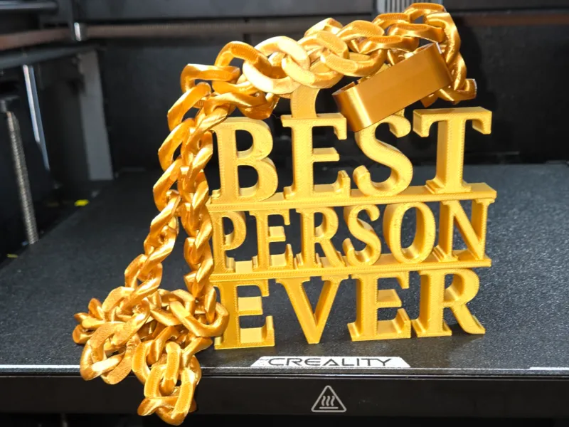 BEST PERSON EVER BLING GOLD CHAIN & PENDANT FUNNY GAG GIFT
