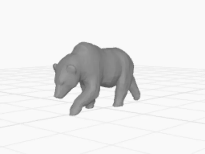 Grizzly Bear