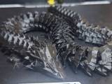 Modular Articulated Dragon 🐉-0