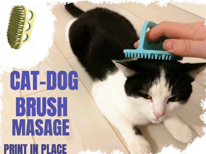 Cat brush-masage