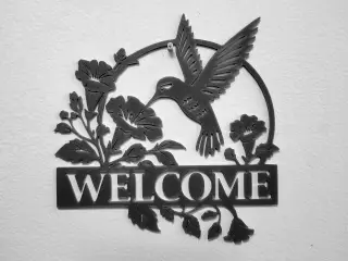 Hummingbird welcome