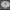 CUSTOM_SPOOL_WHEEL_SIDEWALL_V6.6_STYLE_2