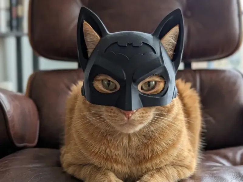 Batman Mascara