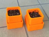 Seedbed (Plant Pot / Seedbed)-0