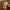 Lezezeichen mit Gliederbeine - Bookmark with articulated leg