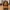 Mini Maya - Figure Collectable #1