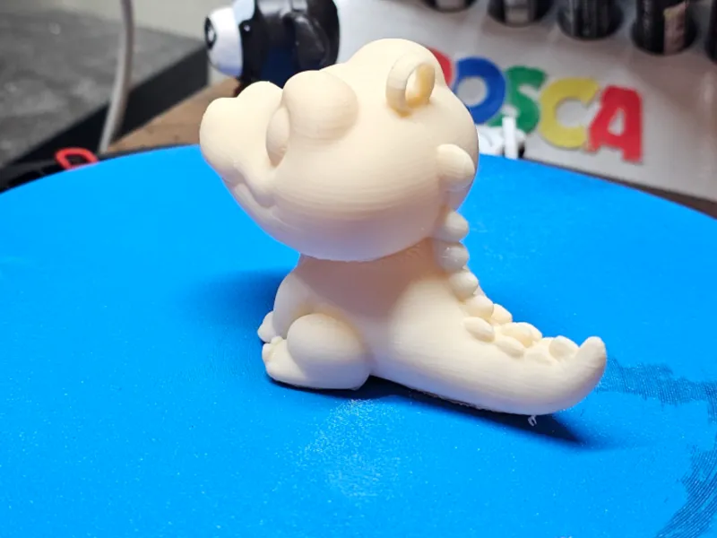 Alligator