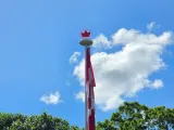 Falgpole Maple leaf-0