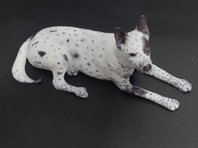 blue heeler fiury
