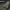 JAGDPANTHER TANK DESTRYER, GER ARMY 1942