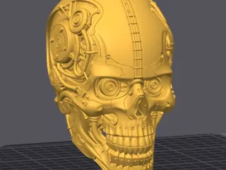 Cyber Skull