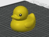 Pato-0