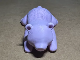 Springy_Bear