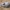 Athenar Skull