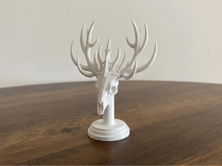 Forest King Skull with Antler - Fantasy Model