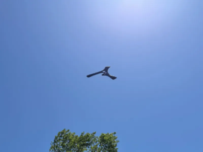 T-shaped boomerang