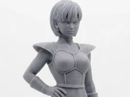 bulma guerrer