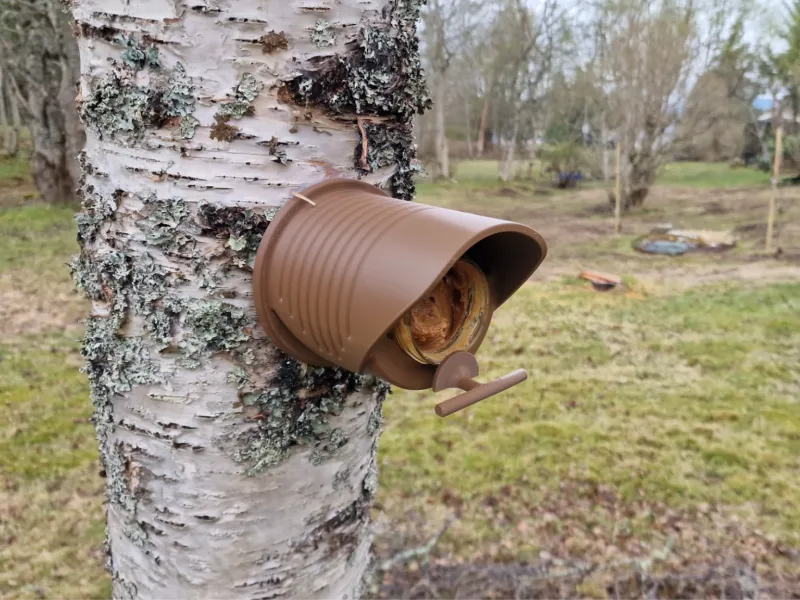 Mangeoire hivernale pour oiseaux en pot de beurre de cacahuète