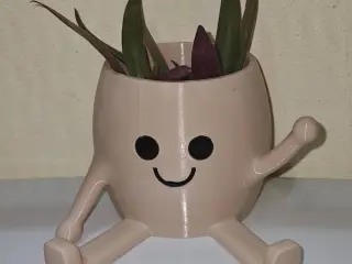 Macetero Feliz