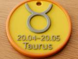 Taurus keychain. No need CFS-0