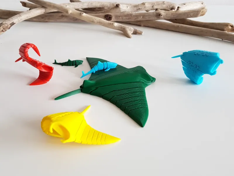 Manta Ray Flexi