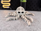 Articulated Skeleton Octopus-0