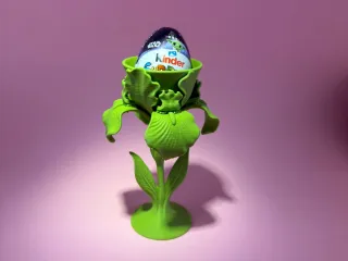 Iris egg holder