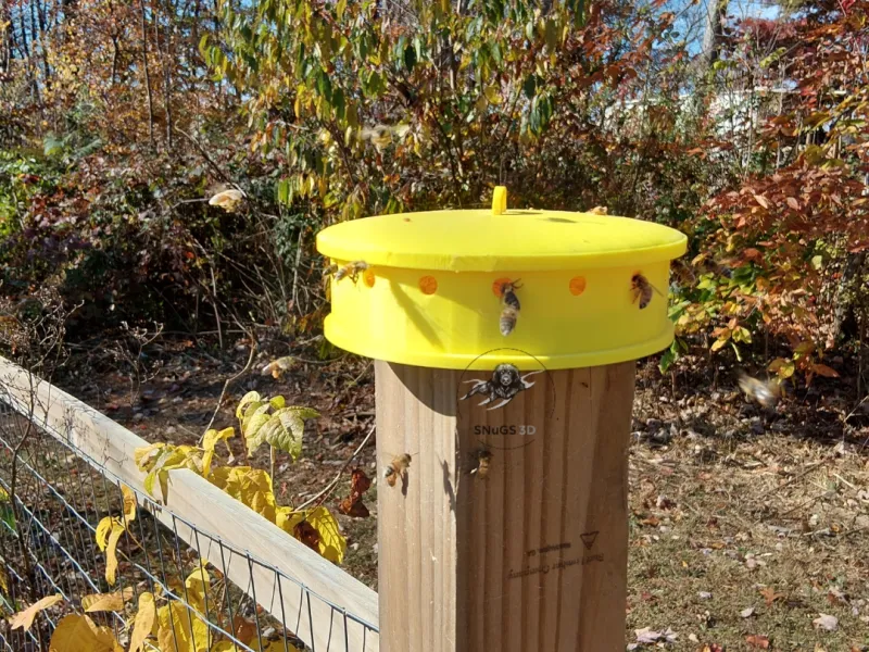 hanging bee pollen feeder