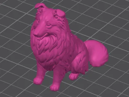 Perro collie