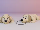 Golden Retriever Mini Flexi (3MF)-0