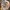 เครื่องประดับคริสต์มาทรูปซานตาคลอสสุดสง่างาม