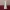 Traditional Paschal Candle Stand
