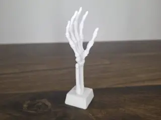 Skeleton Hand