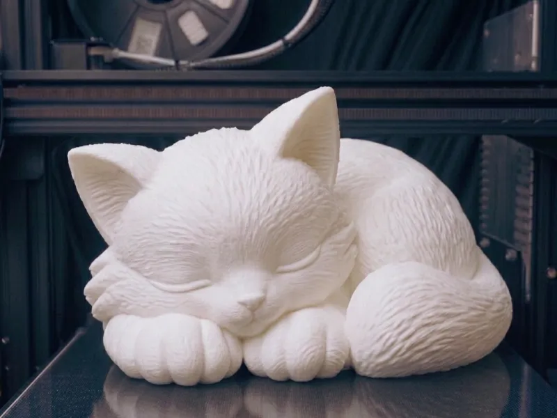 Cute cat sleeping
