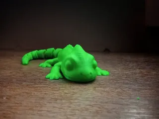 🦎 Cute Gecko – Articulated Toy
- free to sell 💰