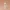 Christmas Duck with Santa Hat – Festive Figurine