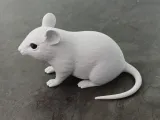 Realistic Mouse Figurine-0